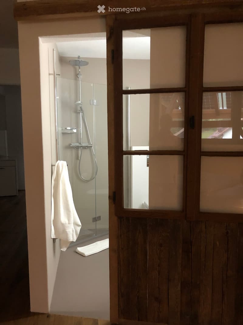 Modern bathroom with a glass-enclosed shower, a towel hanging on a rack, and a bathroom mat on the floor.