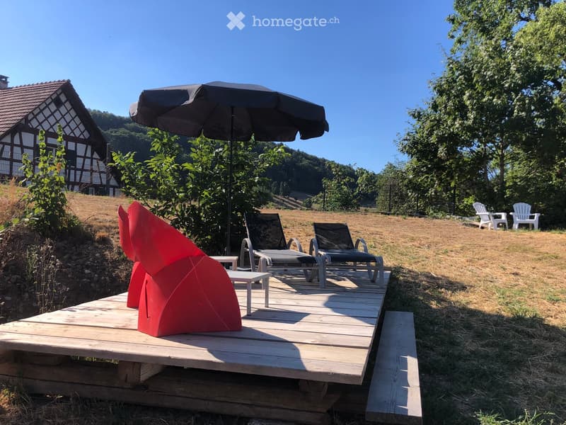 Wooden deck with lounge chairs, umbrella, small table, and a red sculpture. Background features a traditional half-timbered house and a grassy field with trees.