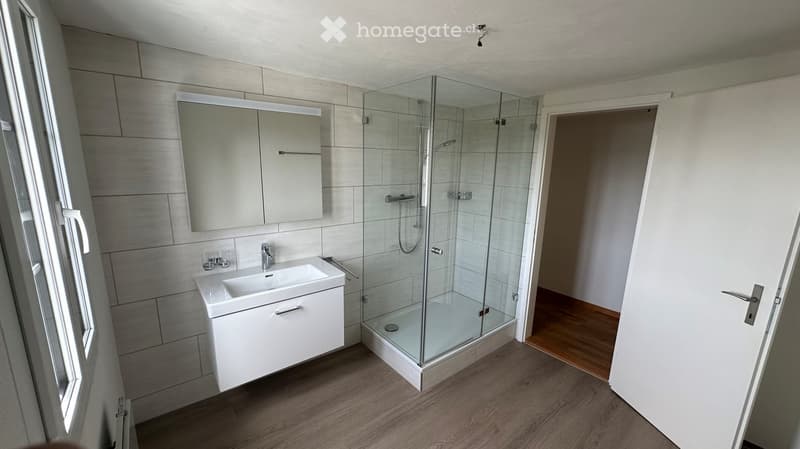 Modern bathroom with a white sink, mirror cabinet, glass-enclosed shower, and wooden flooring.