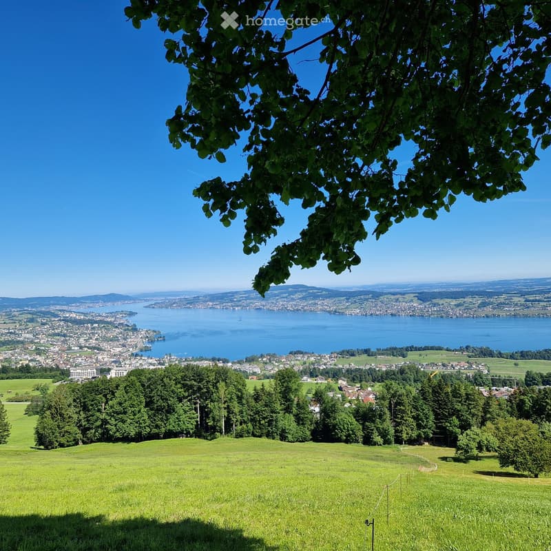 large green meadow, trees, body of water, mountains