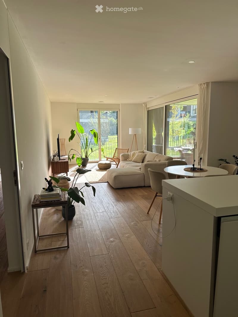 modern open living room, large windows, balcony, wooden floor, comfortable sofa, dining table, floor lamp, potted plants, wooden tv stand, modern kitchen area