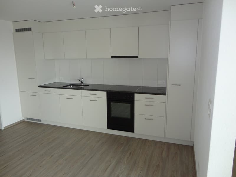 Modern kitchen with white cabinets, black countertop, and wooden flooring.