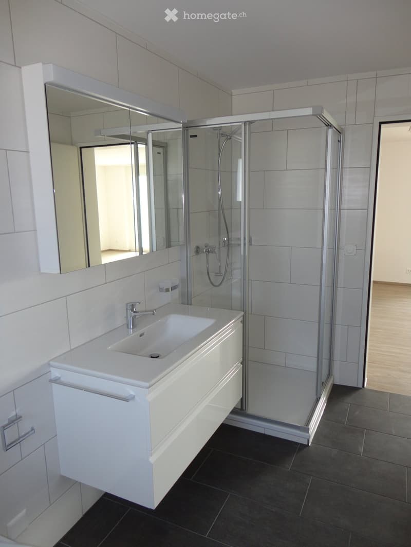 Modern bathroom with white tiles, a large sink with a modern faucet, a large mirror, and a glass-enclosed shower area.
