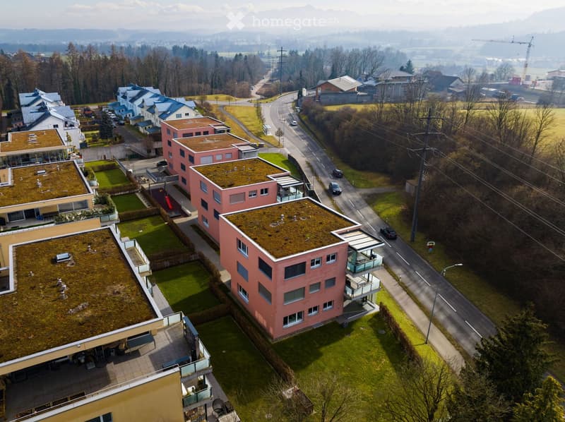 Residential complex with green roofs, concrete driveway, streetlights, multiple buildings, paved road