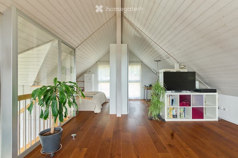 Open-concept living and bedroom area with wooden flooring, slanted wooden ceiling, large windows, and modern furniture including a sofa, table, TV, bookshelf, and potted plants.