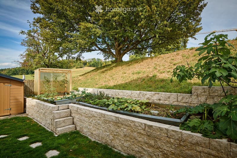 Garden with raised stone planters, lush greenery, and a wooden shed, surrounded by a grassy area and trees.
