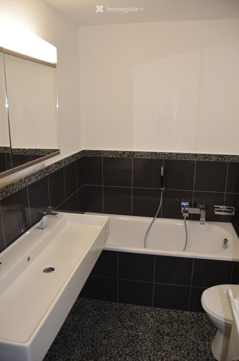 Modern bathroom with black tiled walls, white fixtures, and a large mirror above the sink.