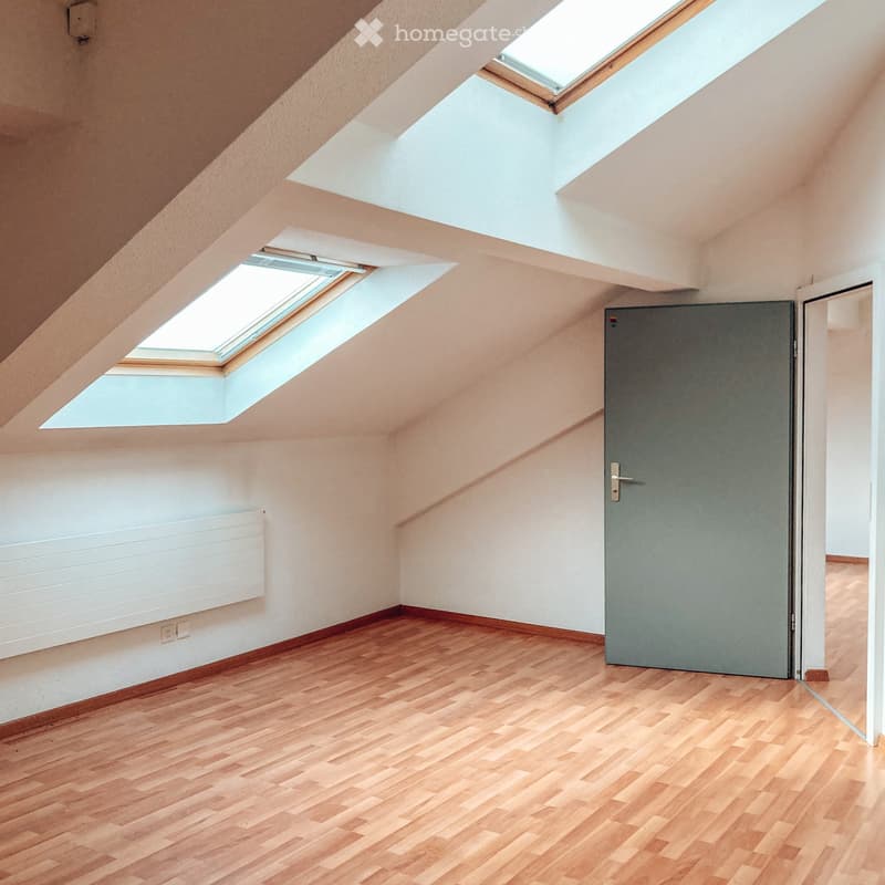 Empty attic room with wooden flooring, white walls, and skylight windows. Features a grey door and a white radiator on one wall.