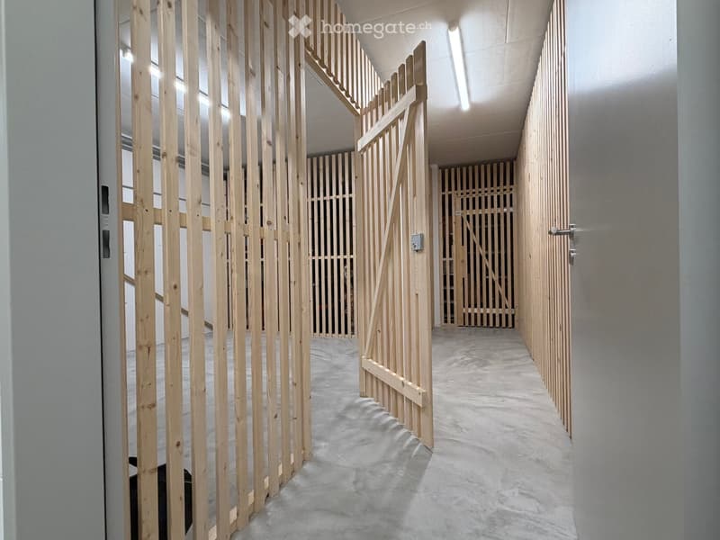 Empty hallway with unfinished wooden partitions and doors, concrete floor, and fluorescent lighting.