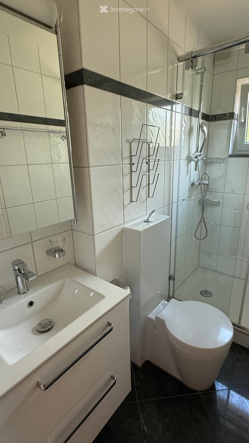 Modern bathroom with white tiles, a sink with a chrome faucet, a toilet, a glass-enclosed shower with a handheld showerhead, and a towel rack.