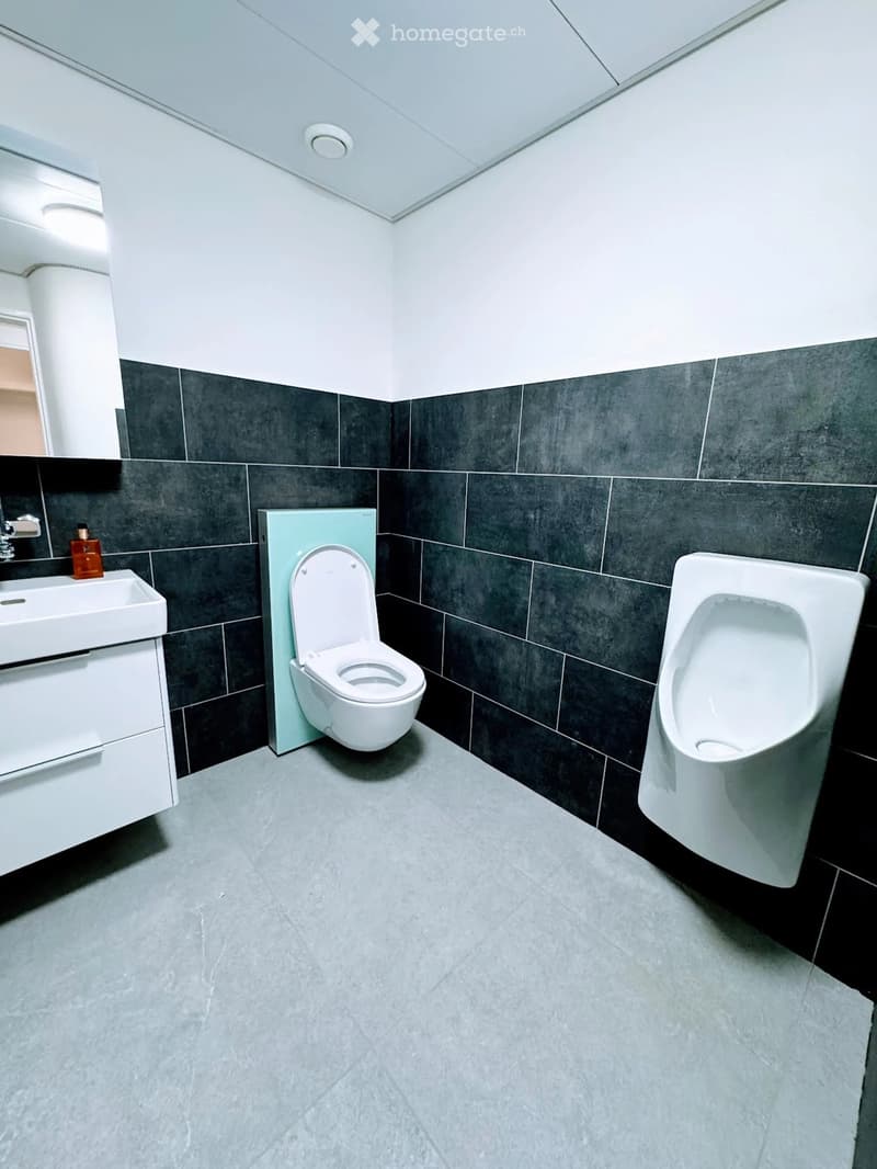 Modern bathroom with a toilet, urinal, sink, and mirror. Dark grey tiles on lower walls, light grey tiles on upper walls, and a grey tiled floor.