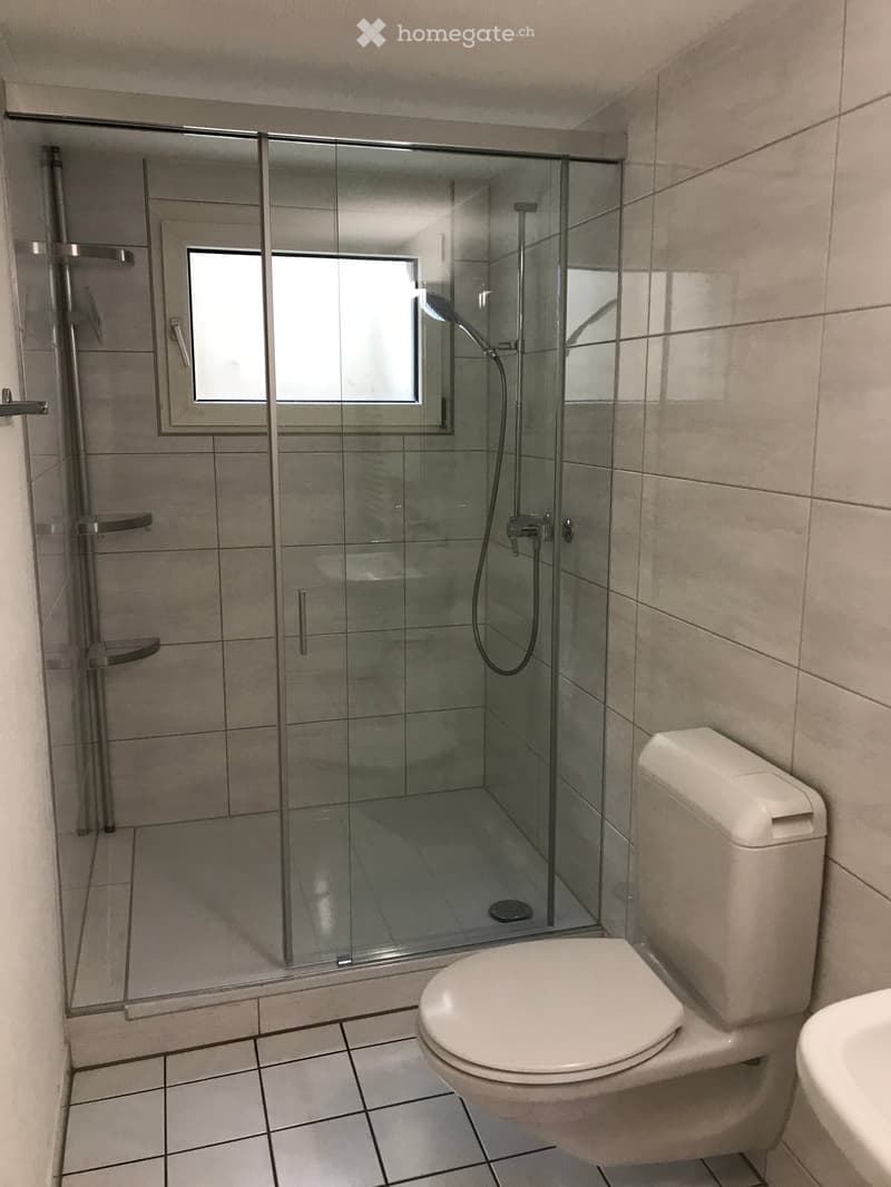 Modern bathroom with a glass-enclosed shower, toilet, and tiled walls and floor.