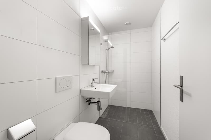Modern bathroom with white tiles, a toilet, a sink, a mirror, and a shower area with a glass enclosure.