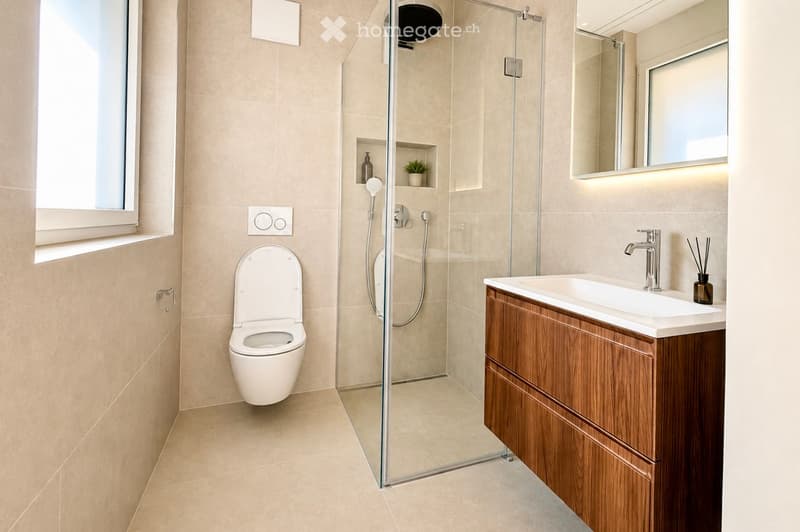 Modern bathroom with a toilet, sink, wooden cabinet, glass-enclosed shower, and a small plant on the shelf.