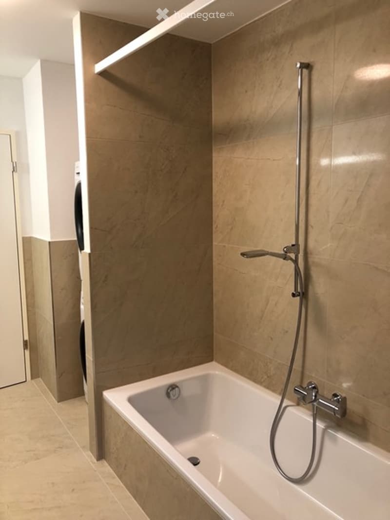 Modern bathroom with a bathtub, a handheld shower hose, and sleek, contemporary fixtures.