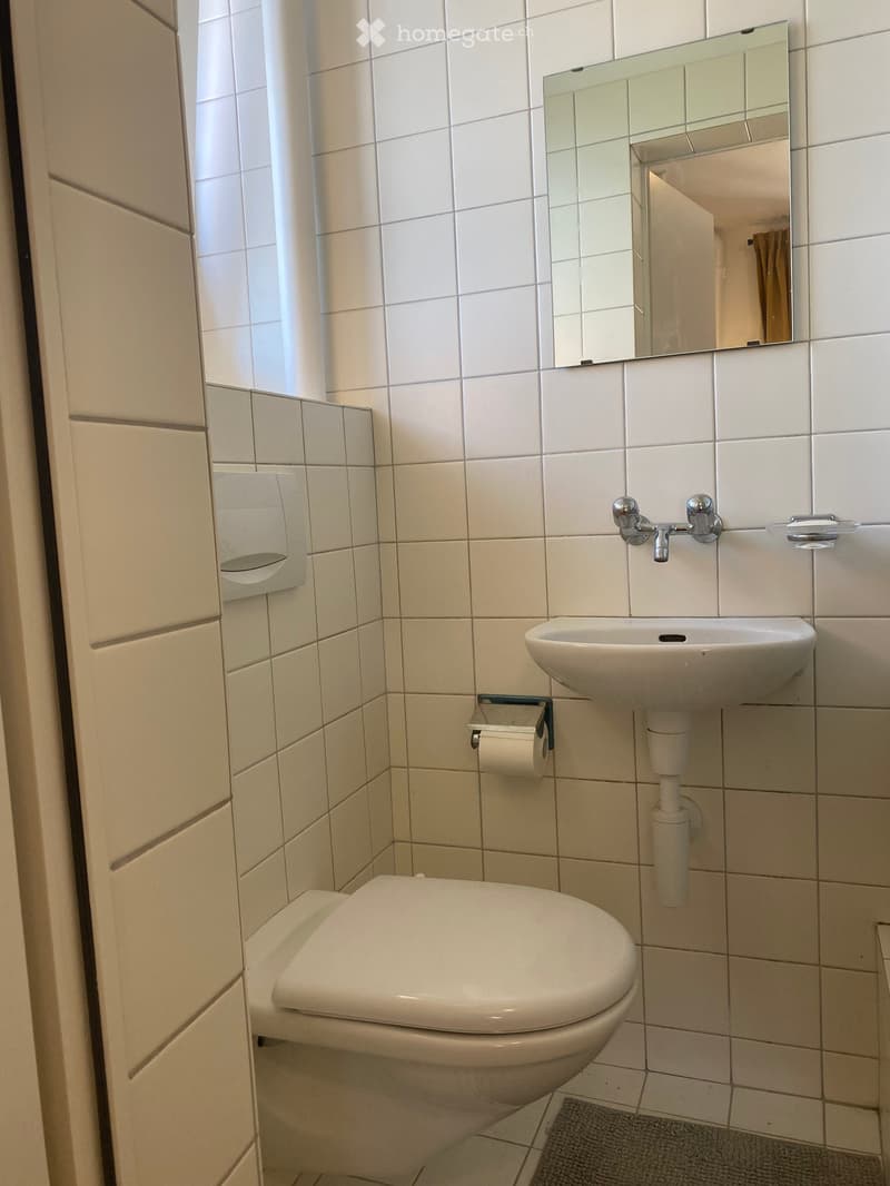 white tiled walls, white toilet, white sink, mirror with reflection