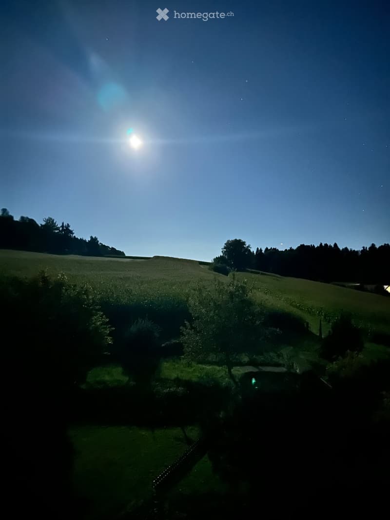 A serene outdoor view of a grassy field with trees and a clear blue sky, captured during twilight with the sun low on the horizon.