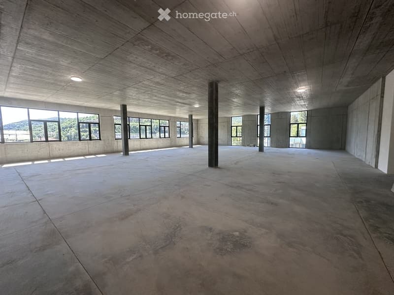 Empty room with concrete floors and walls, large windows, and exposed structural columns.