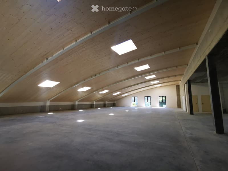 Large, empty room with a wooden ceiling, concrete floor, and several windows allowing natural light. The space is clean and minimalistic with no furniture or decorations.
