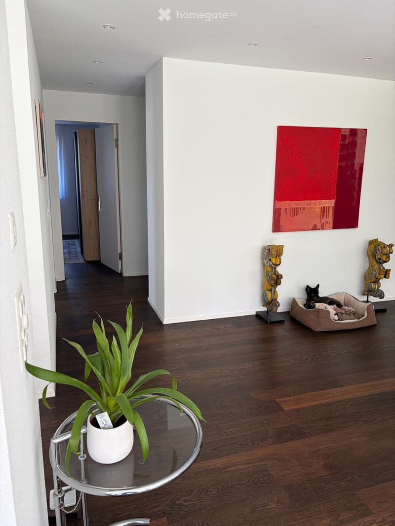 Modern hallway with wooden flooring, a glass table with a potted plant, a dog bed, and decorative statues.