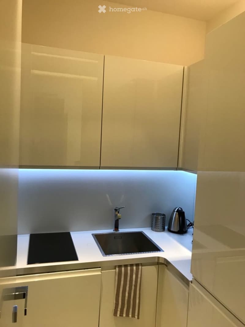 Elegant Furnished Apartment | Lake Zurich | Weekly Housekeeping Included (6)