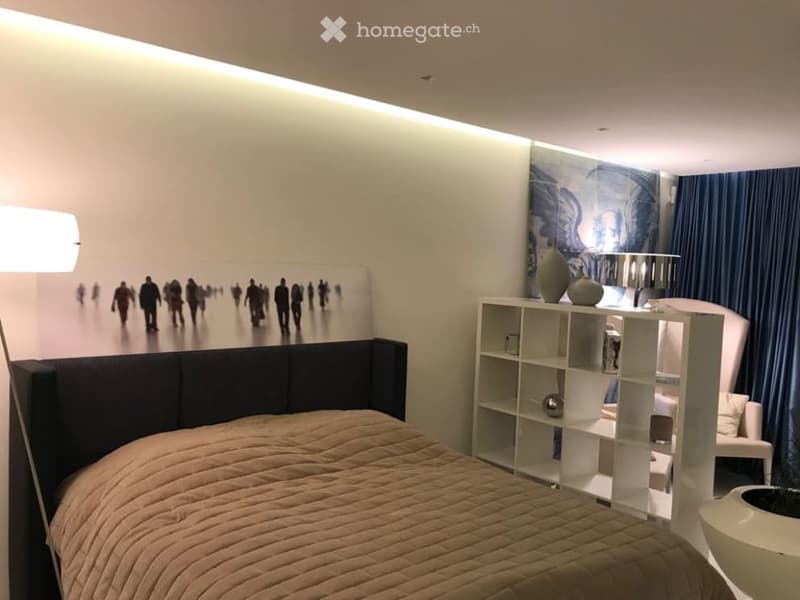Elegant Furnished Apartment | Lake Zurich | Weekly Housekeeping Included (3)