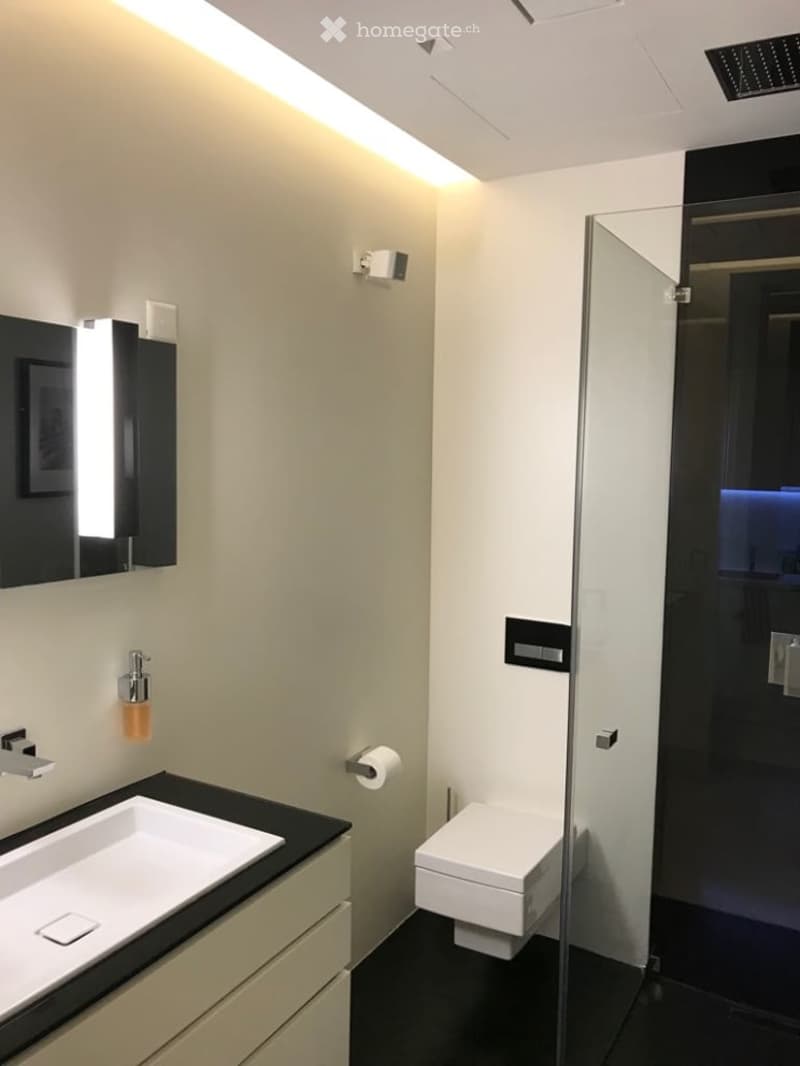 Elegant Furnished Apartment | Lake Zurich | Weekly Housekeeping Included (7)