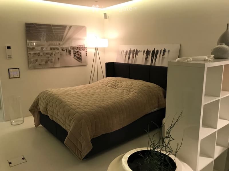 Elegant Furnished Apartment | Lake Zurich | Weekly Housekeeping Included (4)