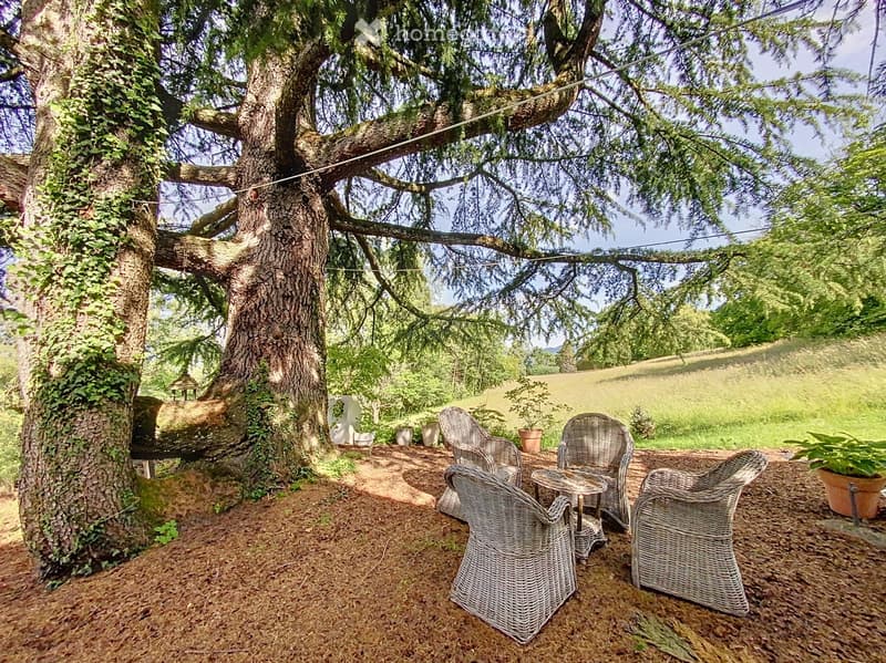 Outdoor seating arrangement with wicker chairs around a small table, a large tree, potted plants, a swing, and a garden shed.
