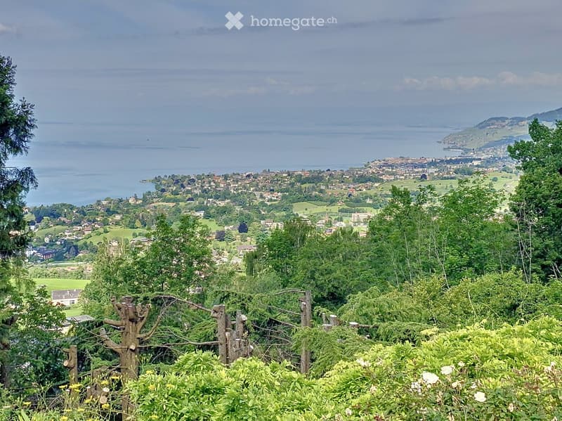 panoramic view of landscape with sea, mountains, town, and greenery