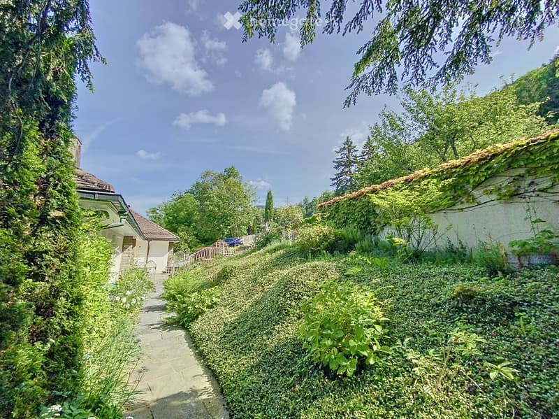 garden path, ivy-covered wall, trees, shrubs, and plants, hill with a car in the background