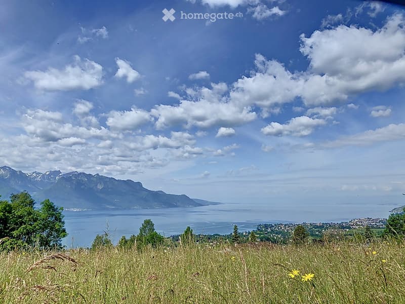 Panoramic view overlooking the lake, mountains, and distant town