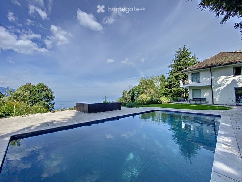 swimming pool, white house, terrace, large lawn, green plants, view of the sea