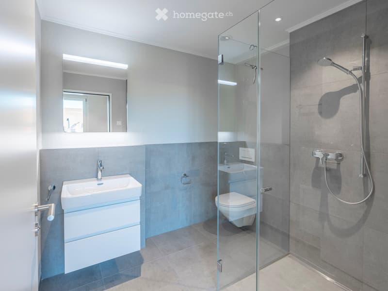 Modern bathroom with grey tiles, a white sink with a mirror, a glass-enclosed shower, and a toilet.