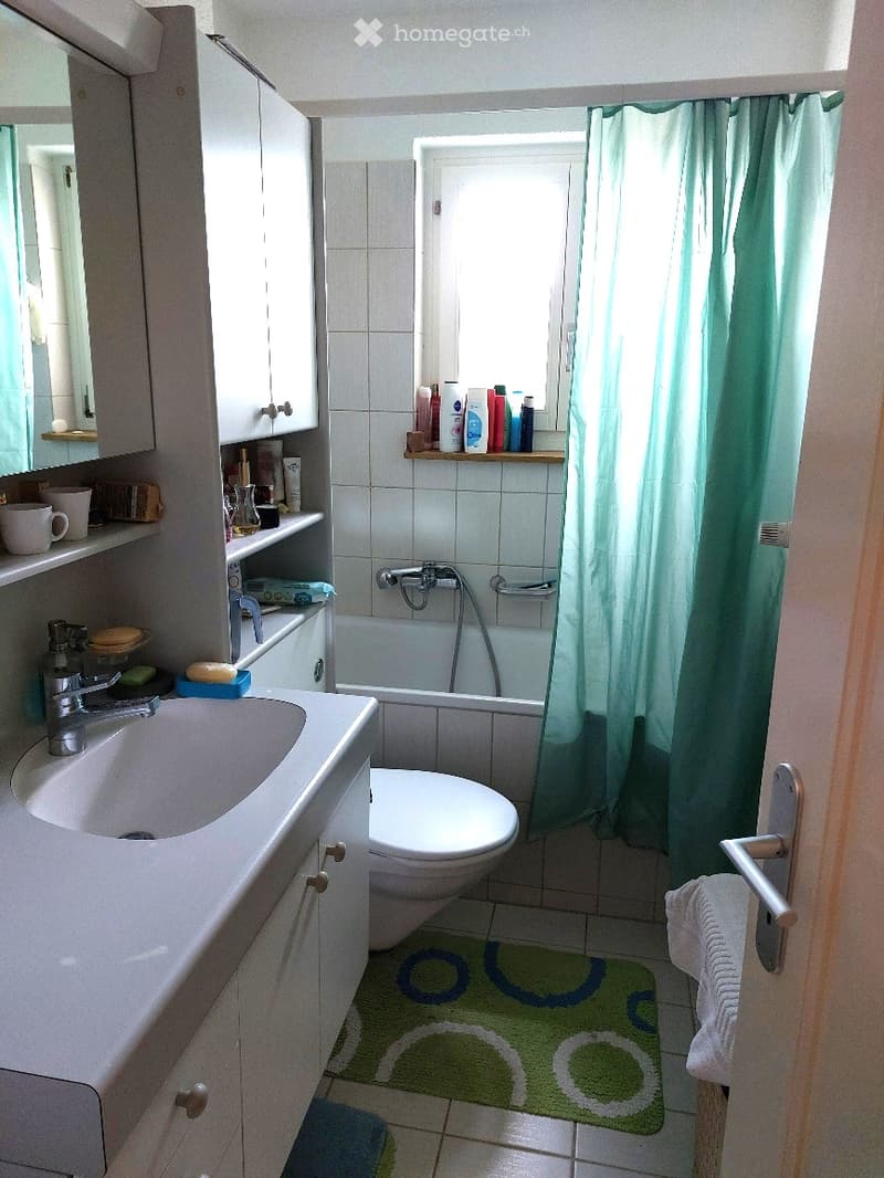 Bathroom: White ceramic sink, white ceramic toilet, bathtub, white tiles, white shelves, green shower curtain, green rug