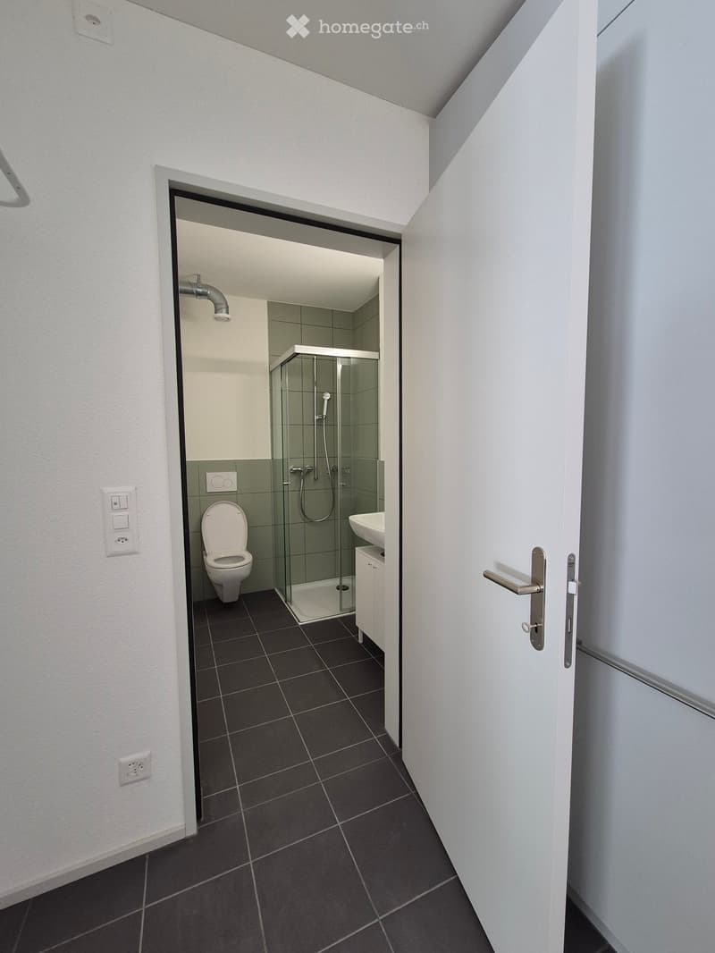 Modern bathroom with dark tiled floor, white walls, toilet, sink, and glass-enclosed shower stall.