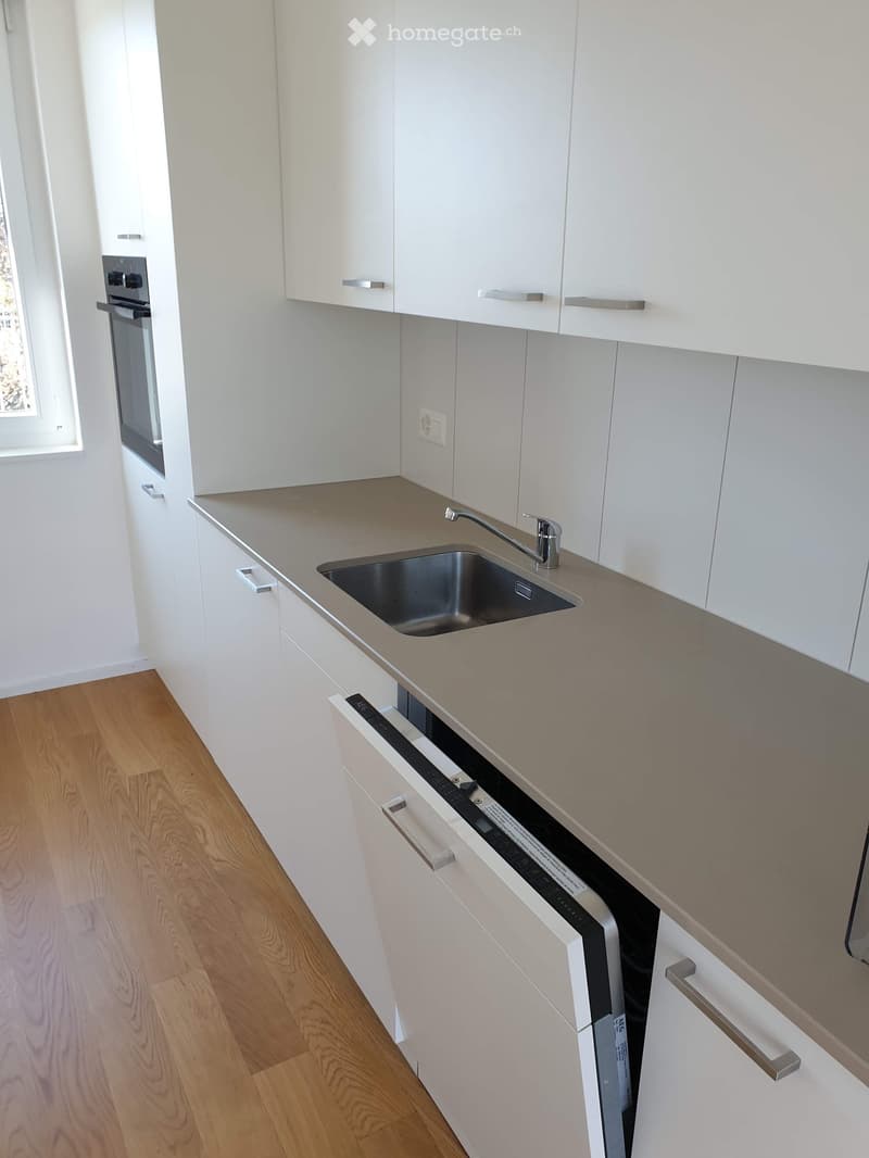 Modern kitchen with white cabinets, a stainless steel sink, and a built-in dishwasher. The countertop is light grey, and the floor is wooden.
