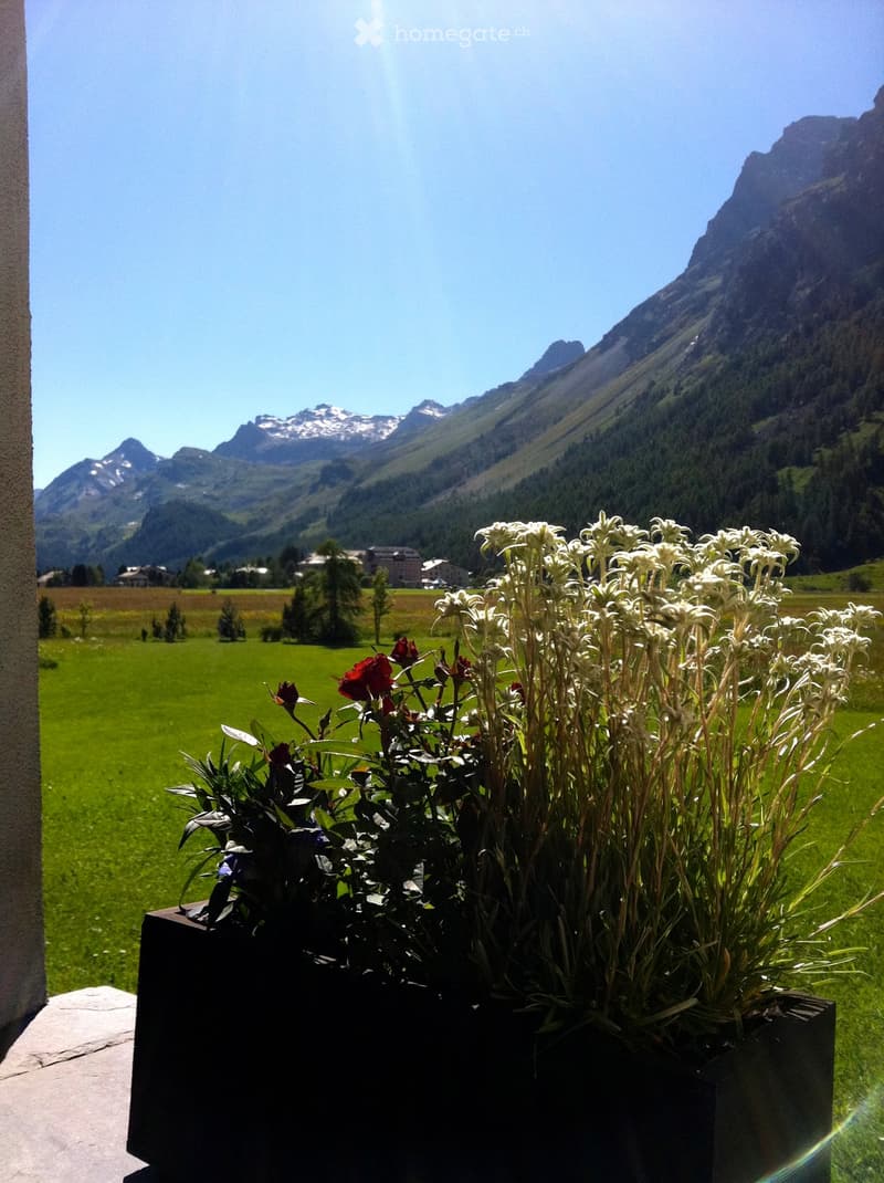 Balcony with potted plants overlooking a green field and mountain range.