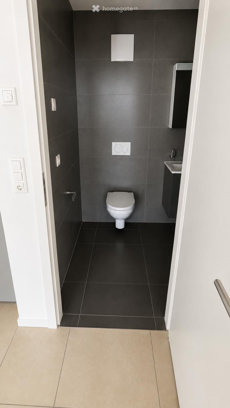 Modern bathroom with black tiled walls and floor, white toilet, sink, and mirror, and light switches on the wall.