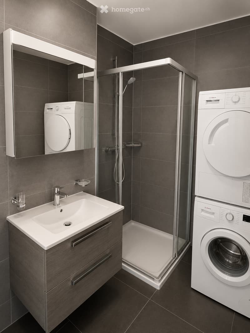 Modern bathroom with dark tiled walls, a white sink with a chrome faucet, a glass-enclosed shower, and stacked Bosch washing machine and dryer.