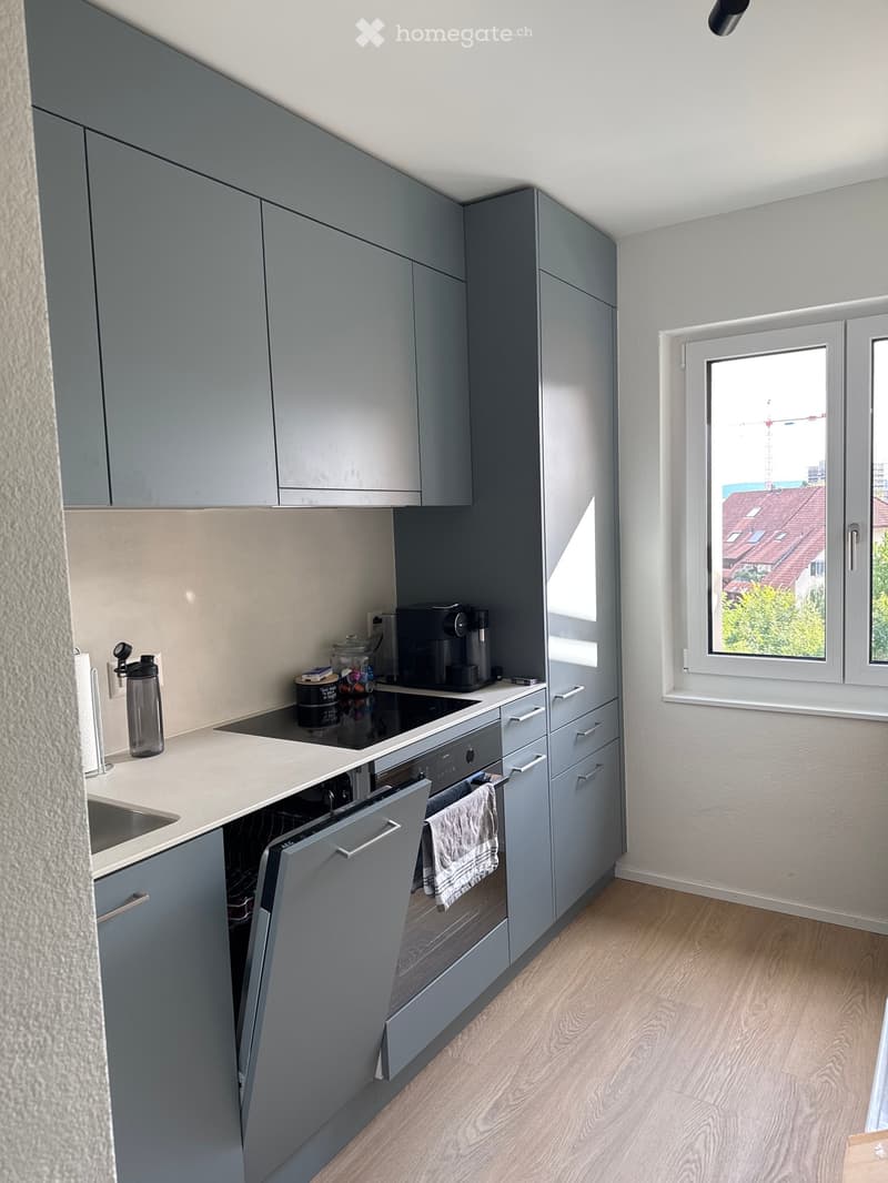 Modern kitchen with grey cabinets, a sink, an oven, a dishwasher, and a coffee maker on the counter. A window offers a view of the city.