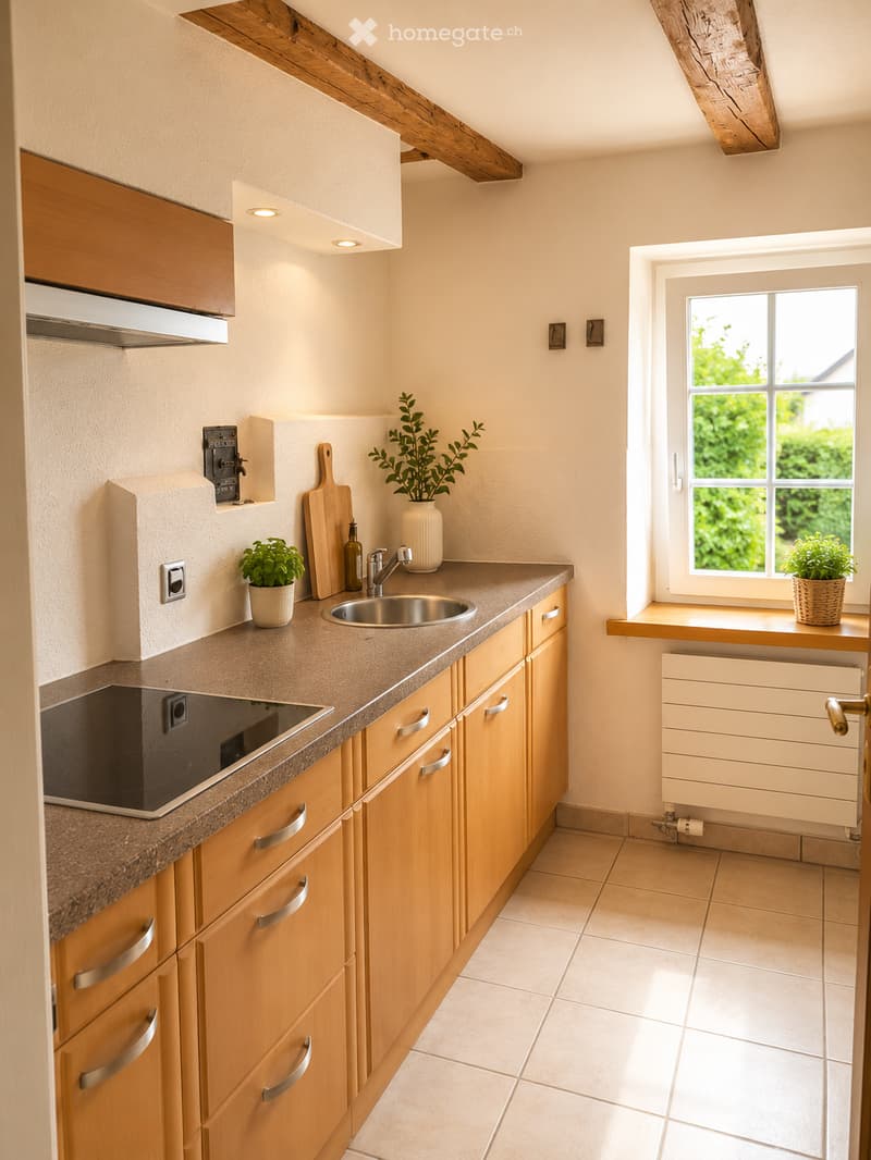 Bright kitchen with wooden cabinets, granite countertop, stainless steel sink, and small potted plants on the counter and windowsill.