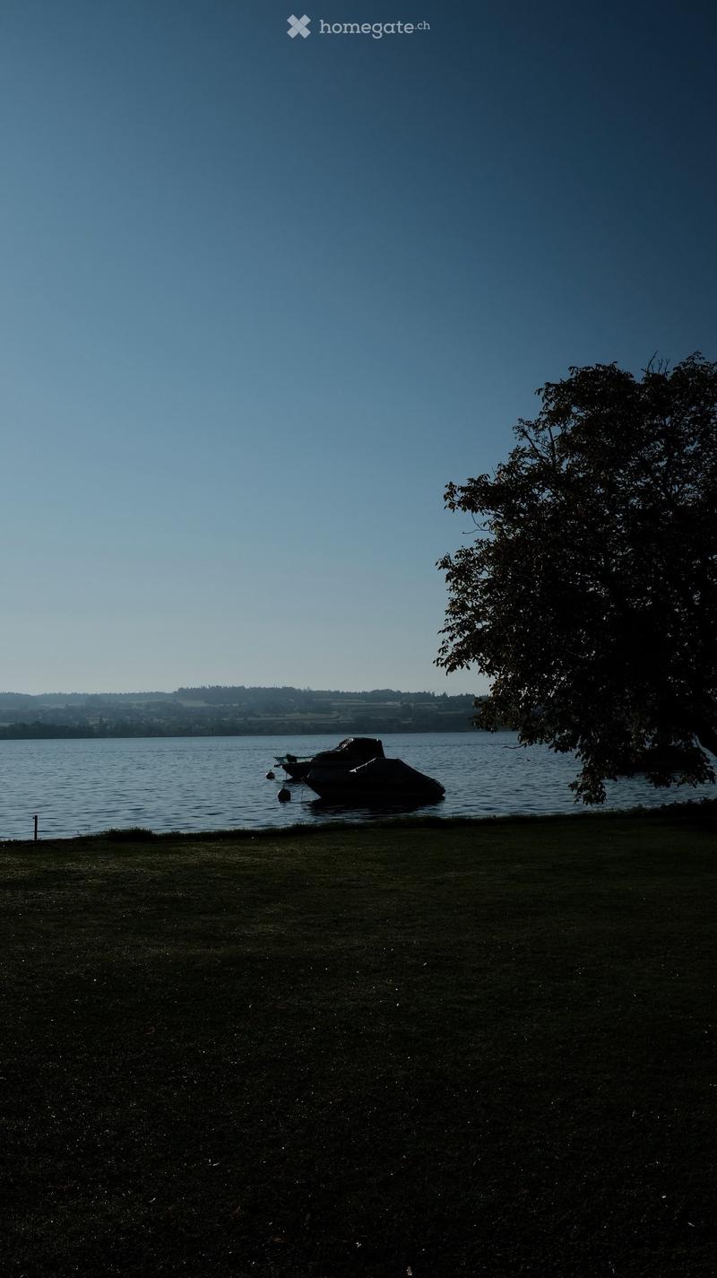 A grassy area with a view of a lake, a tree, and two boats in the water.