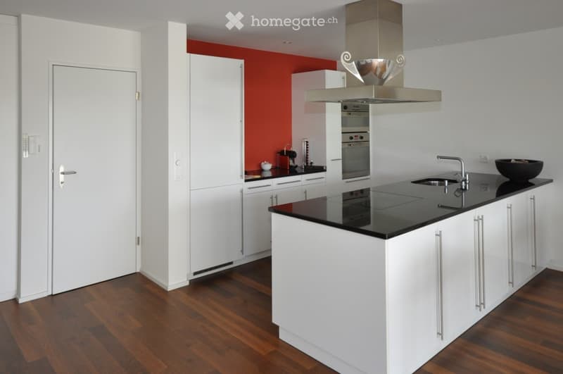 Exklusive moderne Wohnung mit Weitsicht und Terrasse mit 35 m2 (3)