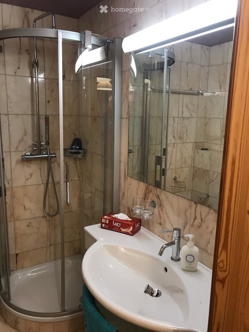 Modern bathroom with a white sink, chrome faucet, soap dispenser, large mirror, and a glass-enclosed shower. A tissue box and a towel are visible on the sink counter.