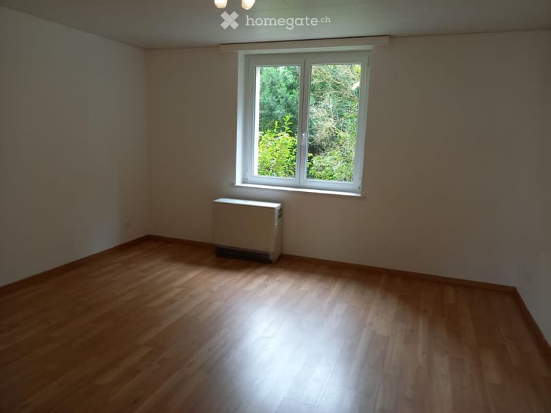 Empty room with wooden flooring, white walls, and a single window showing greenery outside. A radiator is placed under the window.