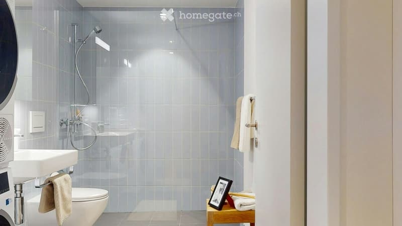 Modern bathroom with a glass-enclosed shower, toilet, sink, and towels neatly arranged on a small wooden shelf.