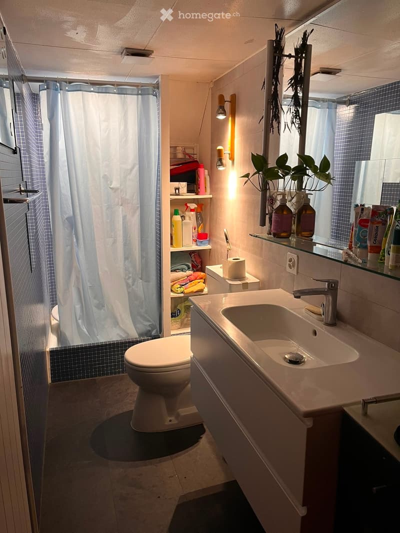 Modern bathroom with a toilet, sink, mirror, and shower area. Includes shelves with cleaning supplies and a small plant on the counter.