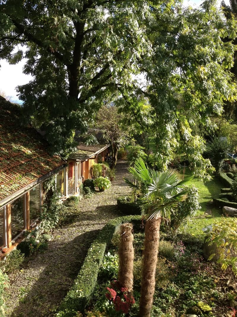 A lush garden with a gravel pathway, surrounded by various plants, trees, and a small wooden structure with a tiled roof.