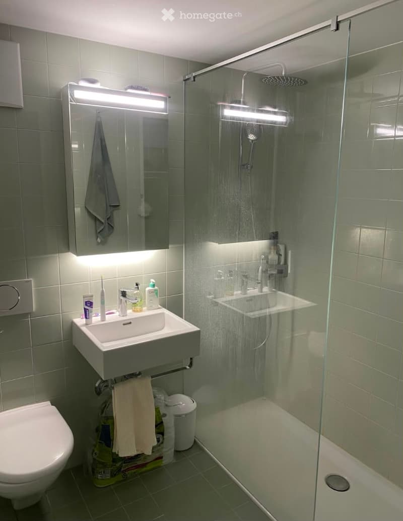 Modern bathroom with a white sink, toilet, mirror with built-in lighting, and a glass-enclosed shower with a modern showerhead. The sink has personal care items, and towels are neatly hung on a rack.